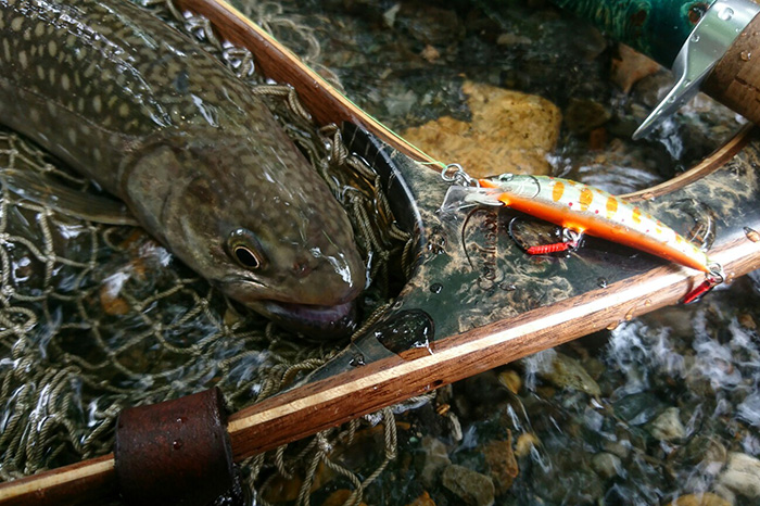 漆田様投稿