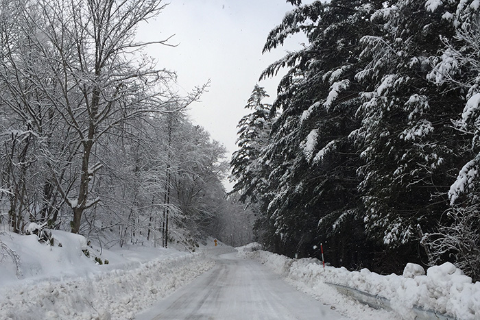 雪の景色