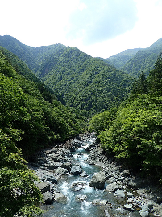 西井戸様投稿