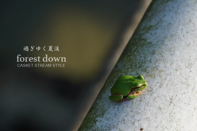 TAKE&SONS テイクアンドサンズ Casket別注 ミリタリーゲームベスト