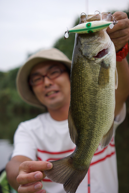 アカシブランド　オリカラカポニータ