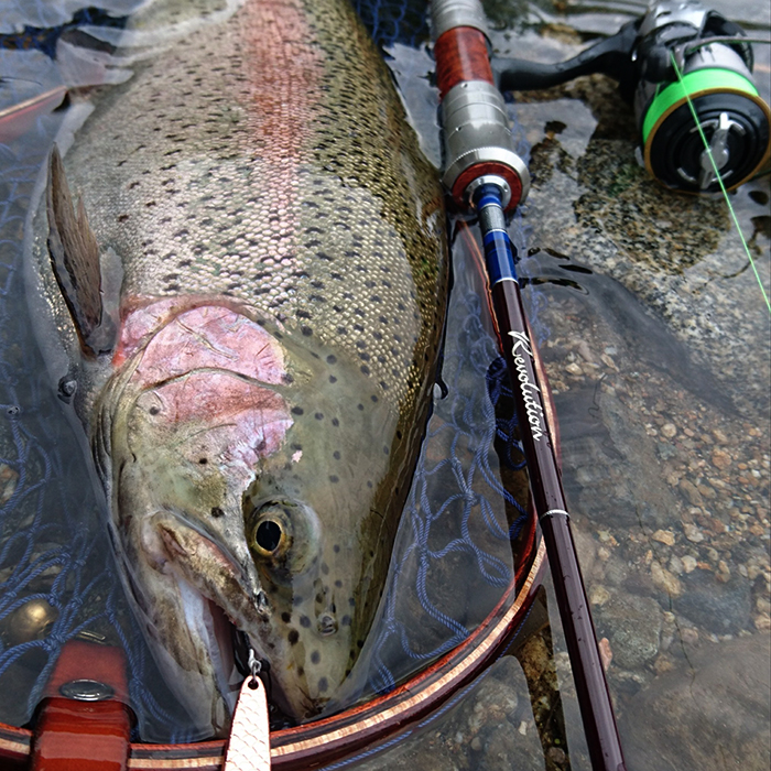 casket カスケット レボリューション55 ベイトロッド Casket カスケット｜トラウト、バス、ソルトルアー専門店｜通販